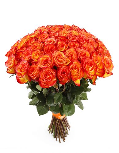 101 оранжевая роза с доставкой по Белаой Калитве